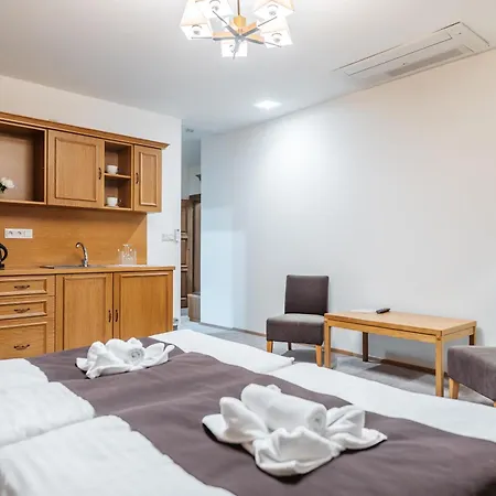 Hotel Resort Lovecka Basta Strakonice Room photo